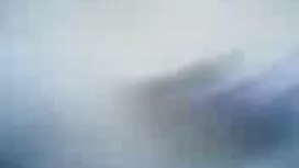 Кицька-це все сука п ...