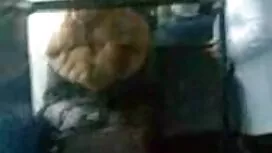 Морган безкоштовний  ...